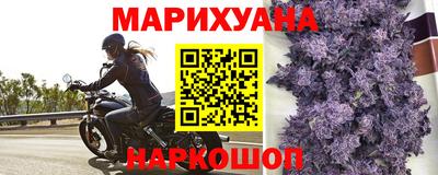 сатива Волгодонск