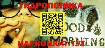 сатива Волжский