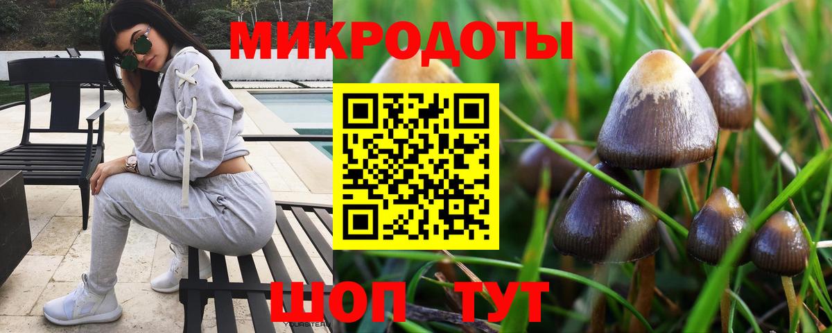 Галлюциногенные грибы Psilocybe Артёмовский
